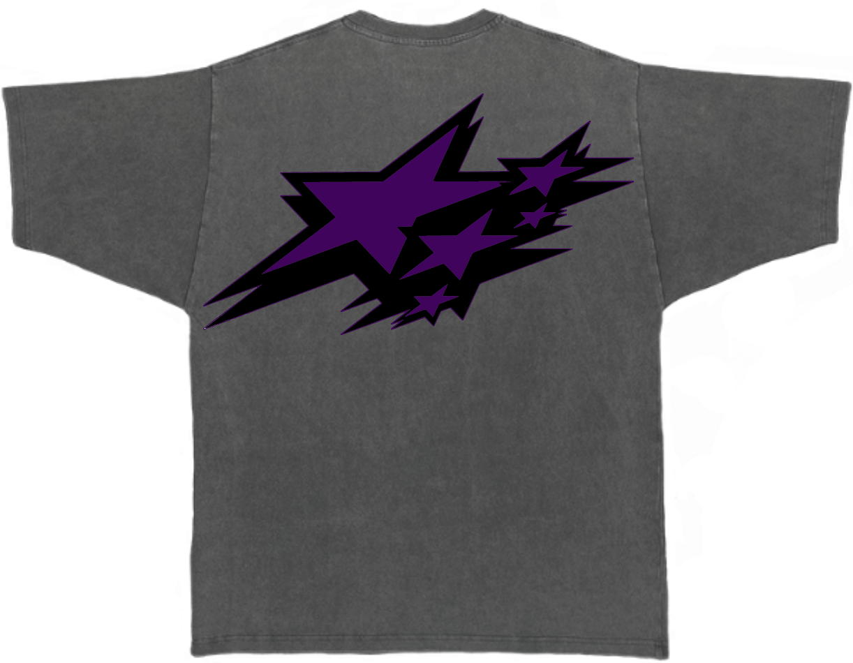 T-SHIRT TAMERS GEAR Purple Washed